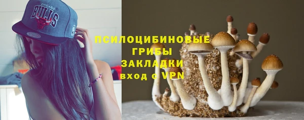 spice Волоколамск