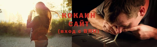 соль ск Волосово