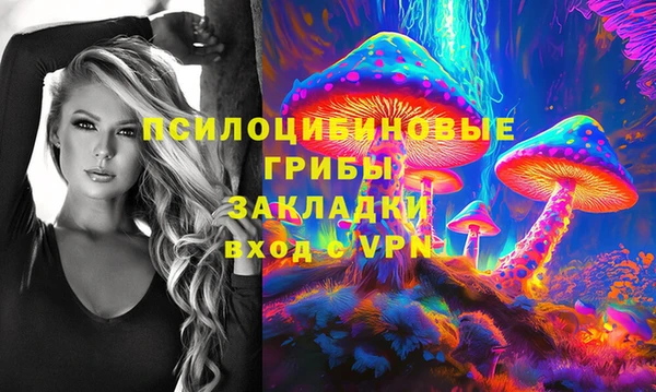 гашик Верхний Тагил