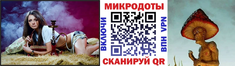 Купить Строитель Псилоцибиновые грибы прущие грибы